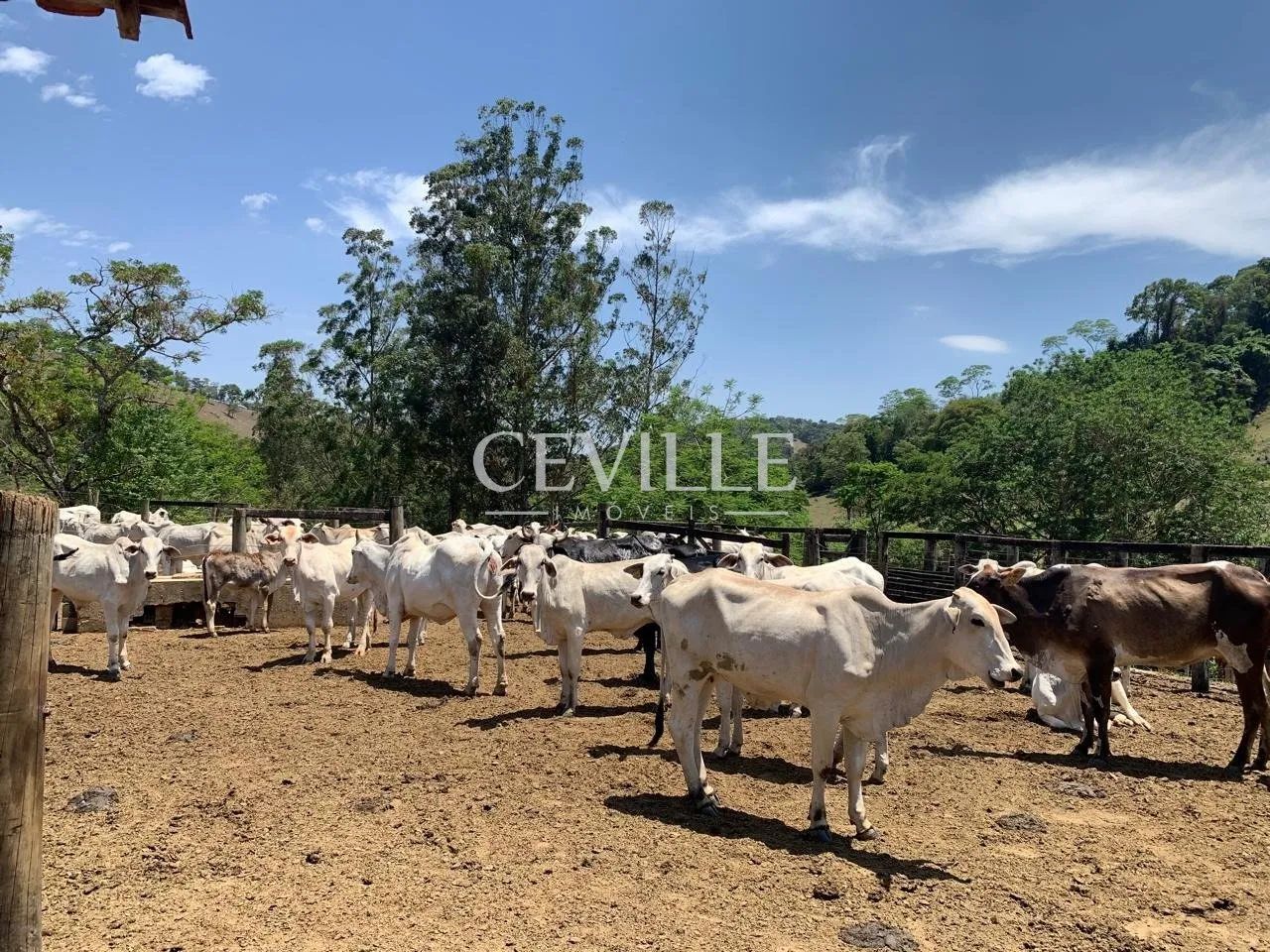 Fazenda exclusiva a poucos minutos de BH. - Foto 4