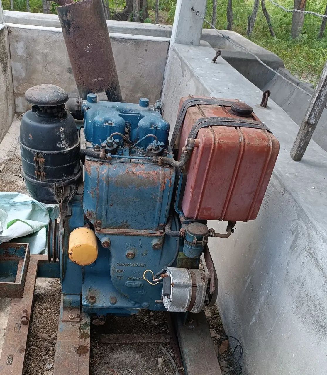 Motor Agrale 