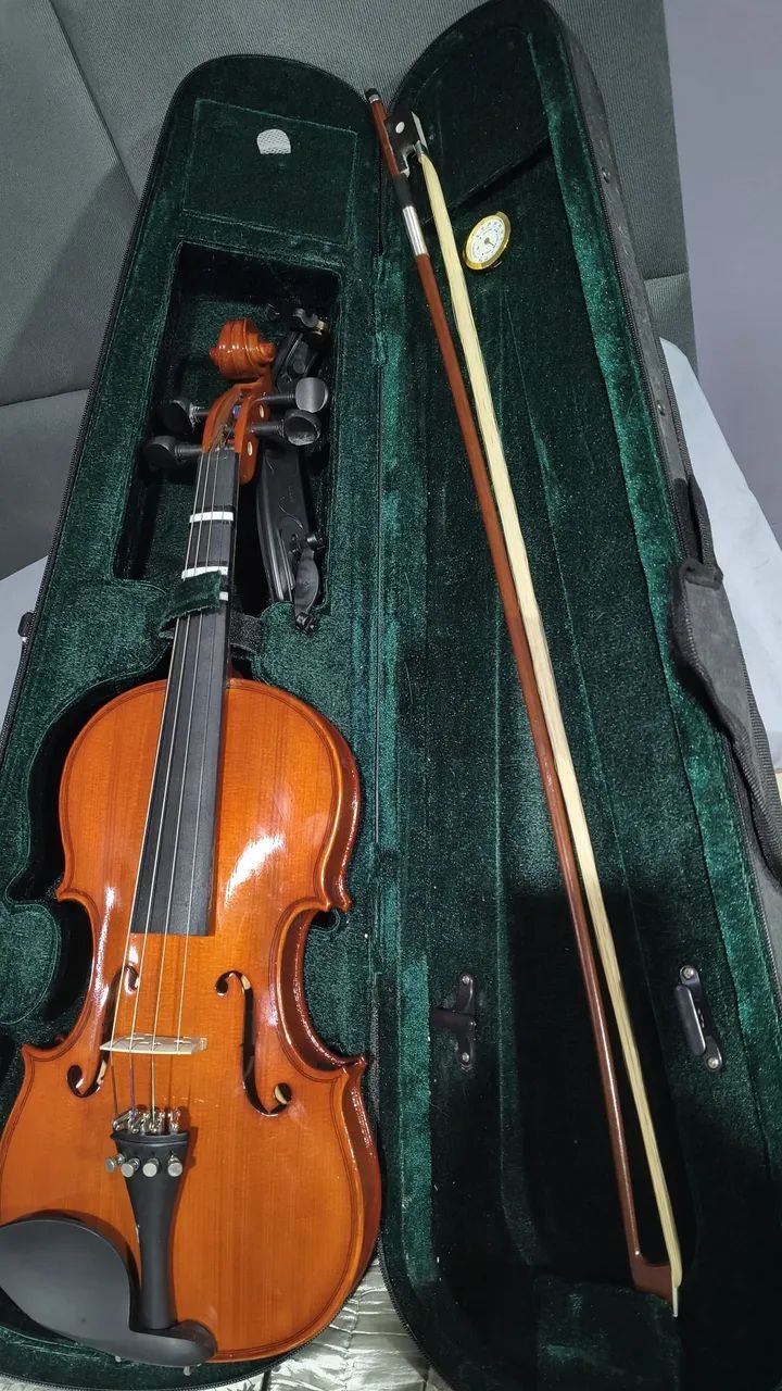 Violino Michael 4x4 - Foto 2