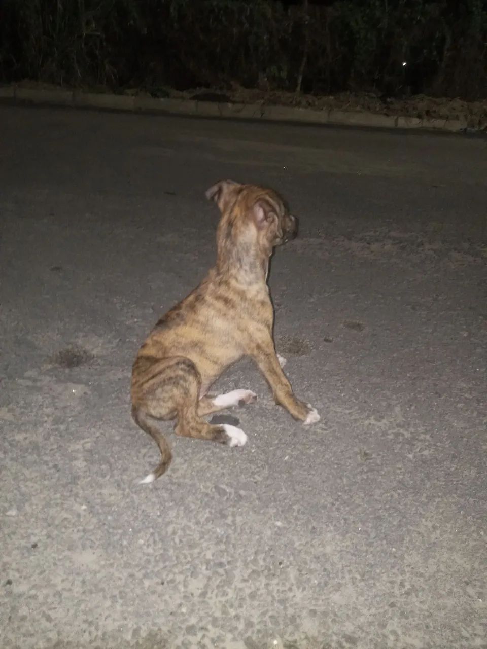 Doacão - Foto 2