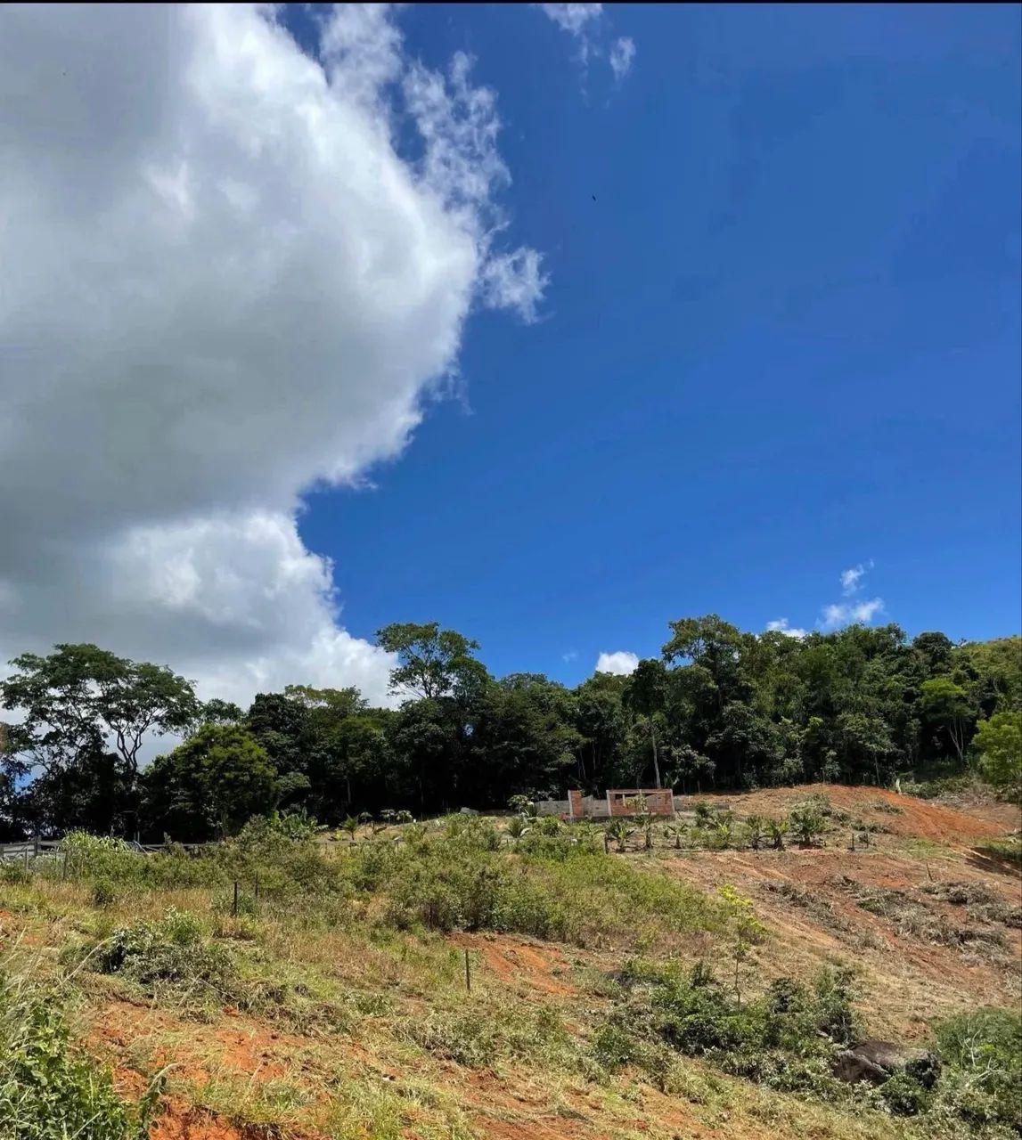 Terreno 1700m2 - Foto 3