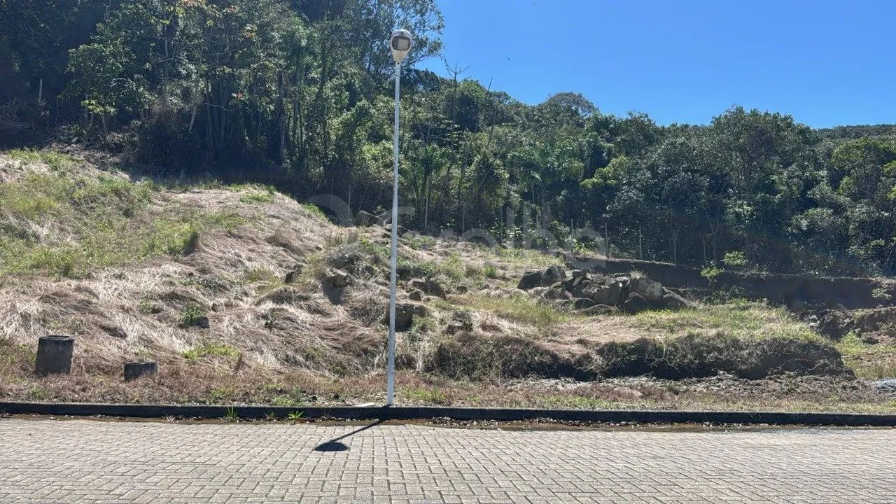 Terreno de 2251,84m² nos ingleses - Foto 5