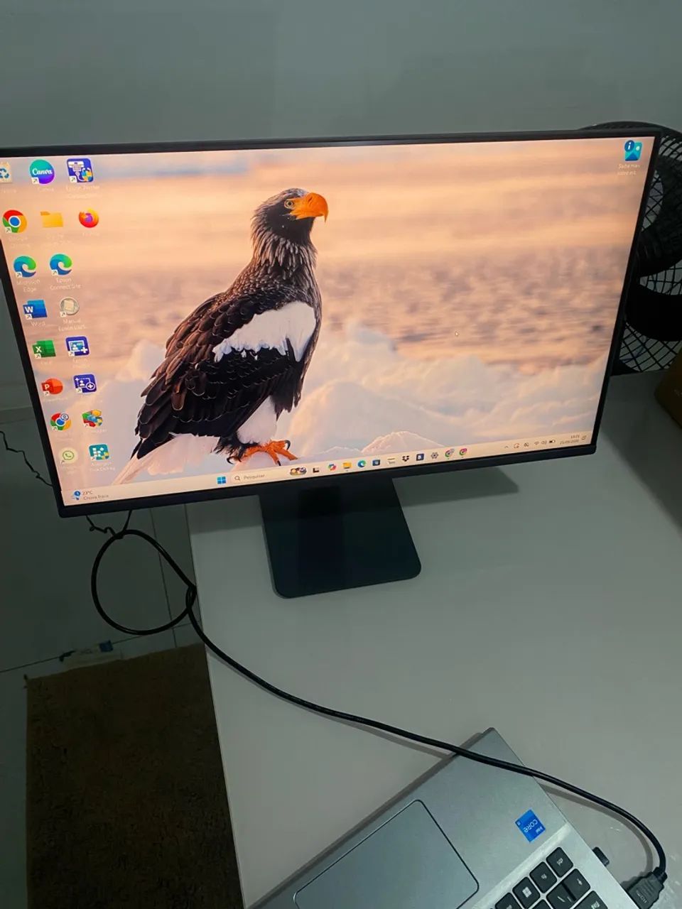 Monitor LG Ultragear 144hz 24 polegadas (Novo)