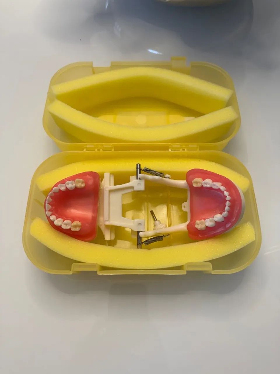 Manequins Odontológicos (Endodontia, Pediatria, Periodontia e Dentística) marca Dent-Art. - Foto 4