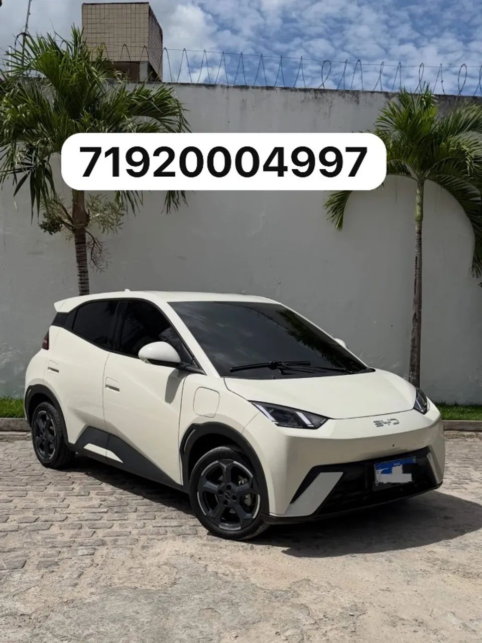BYD Dolphin EV (ELÉTRICO) 2025