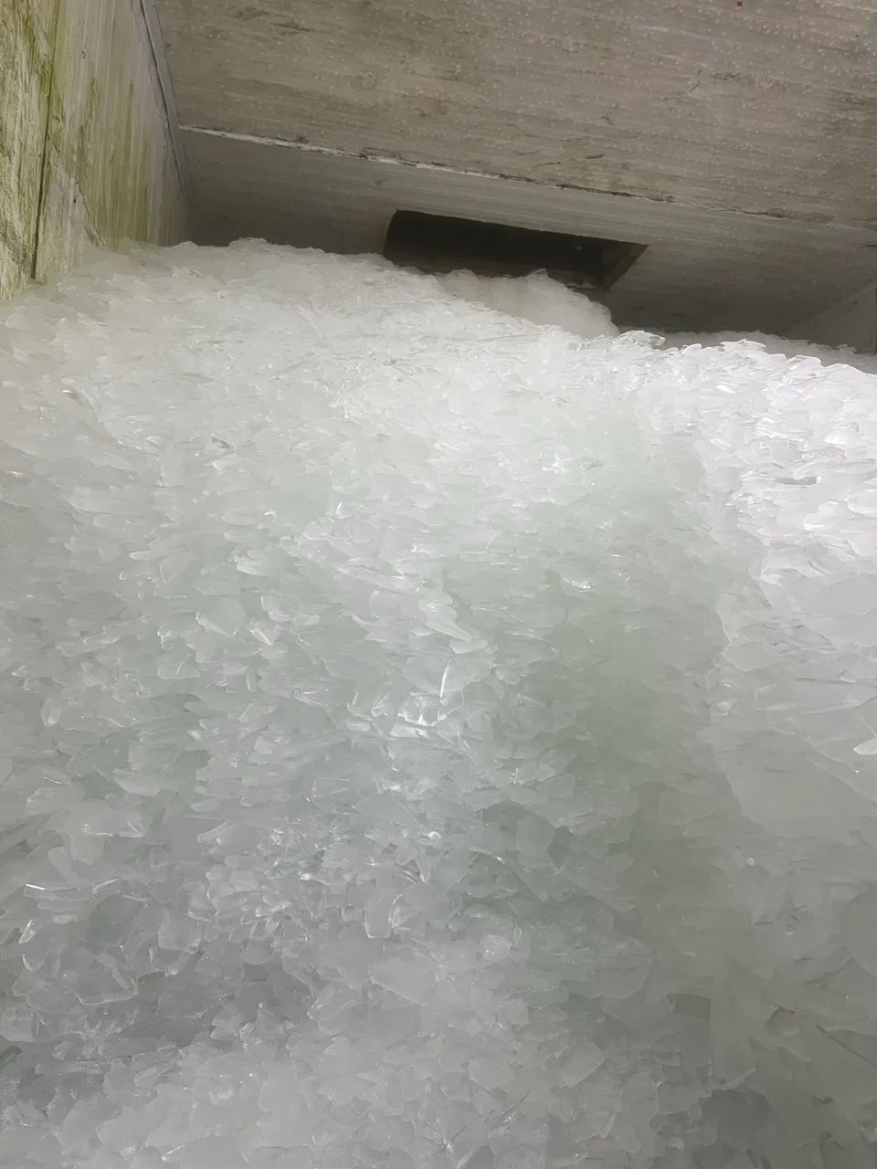 Fábrica de Gelo Escama  - Foto 3