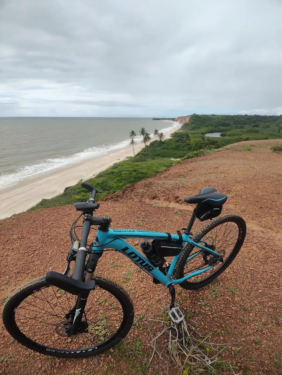 Vendo bicicleta lotus aro 29 - Foto 2