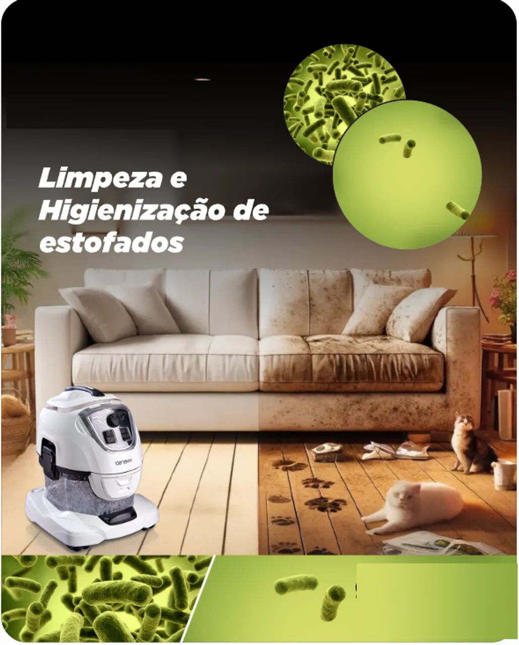 Lavagem a seco - preço bom na oferta 