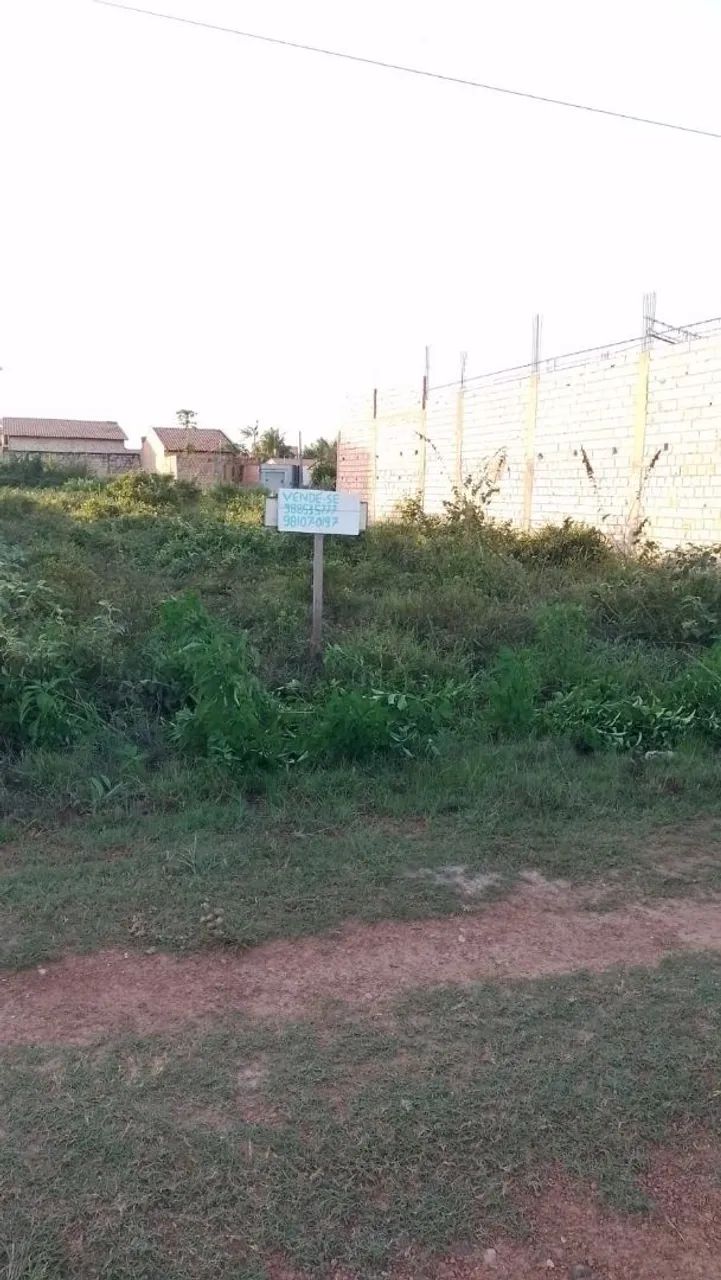 Terreno em Pinheiro MA 50 mil  - Foto 2