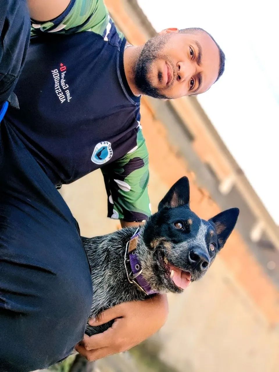 Adestramento canino 