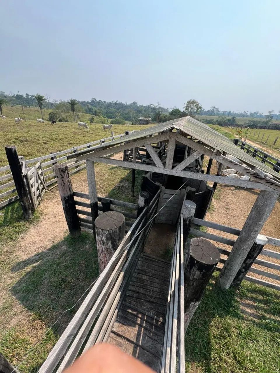 Terra titulada  - Foto 2