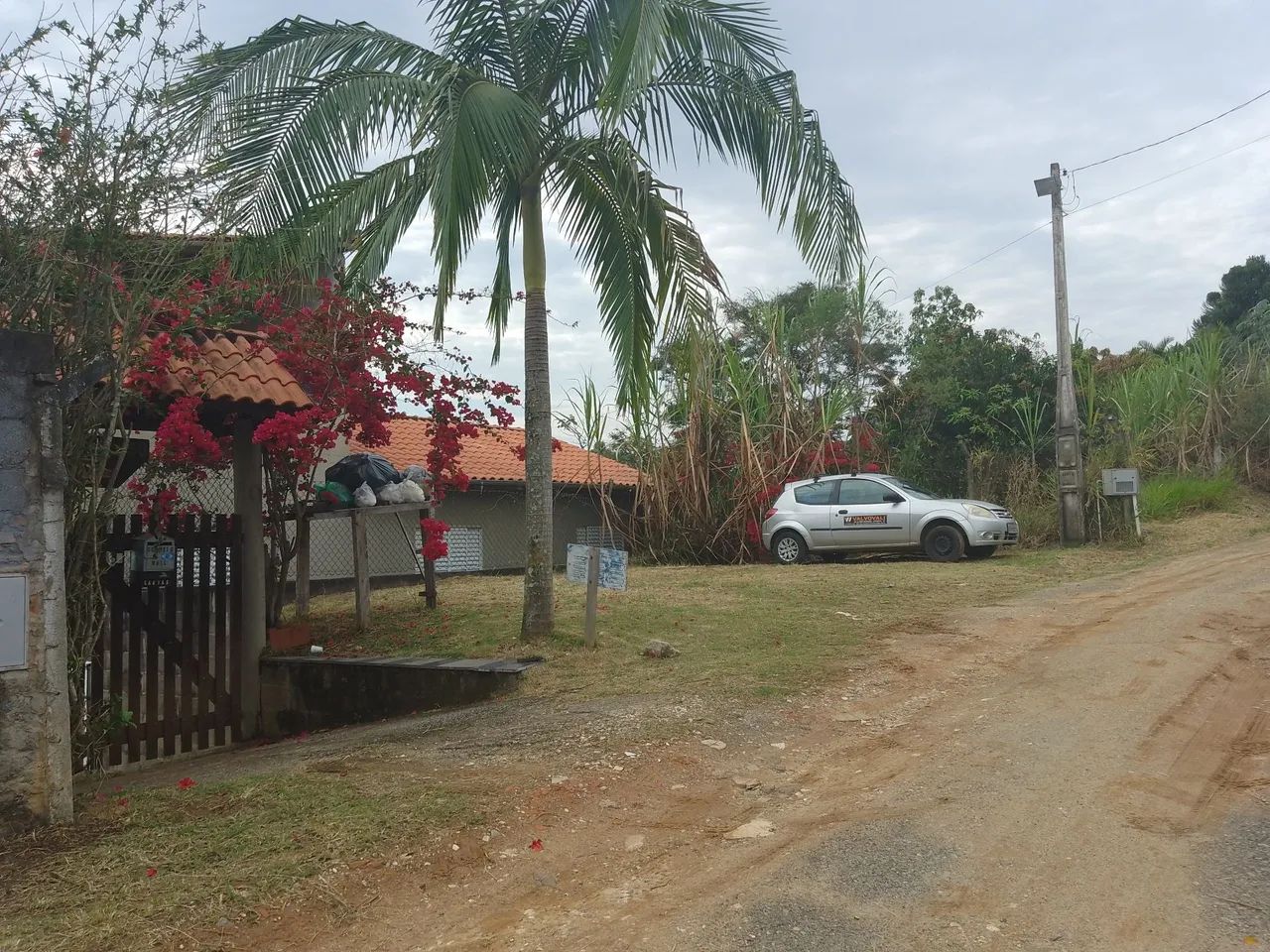 Corte e podas de arvores - Foto 3
