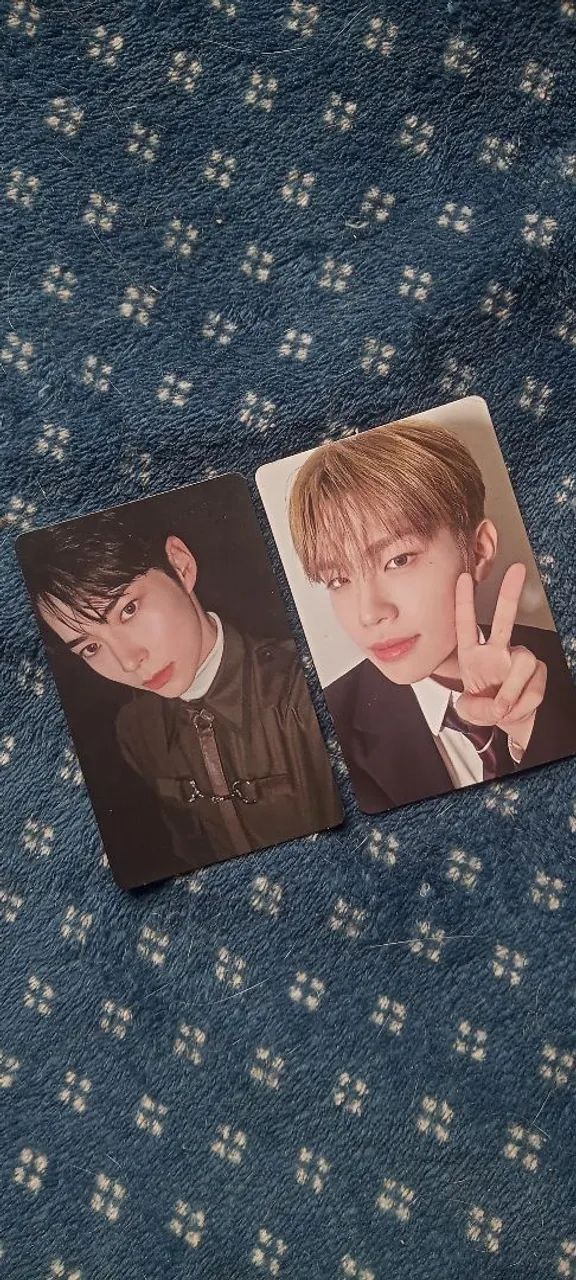 2 photocards regulares do zerobaseone da era de melting point