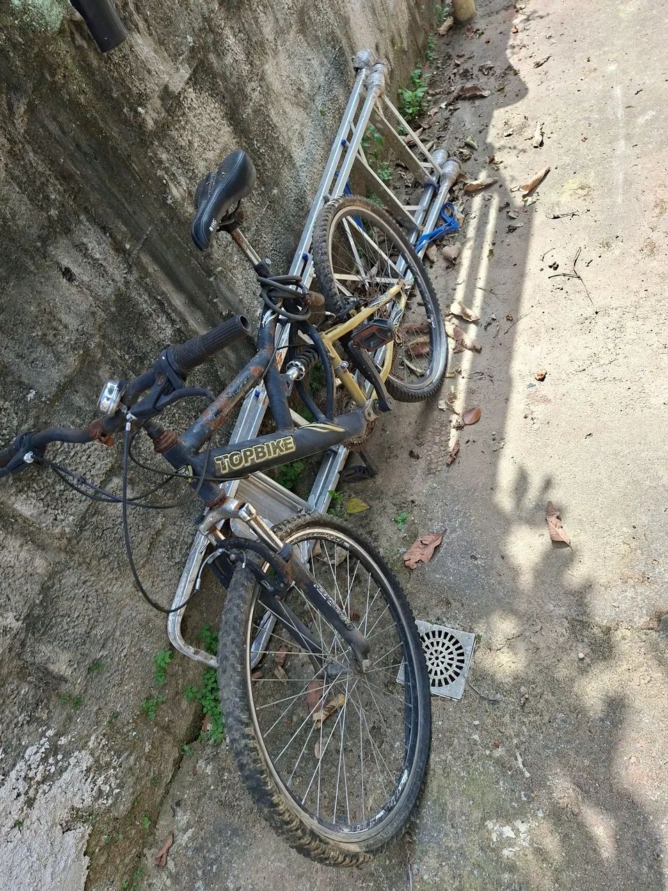 Biscicleta - Foto 4