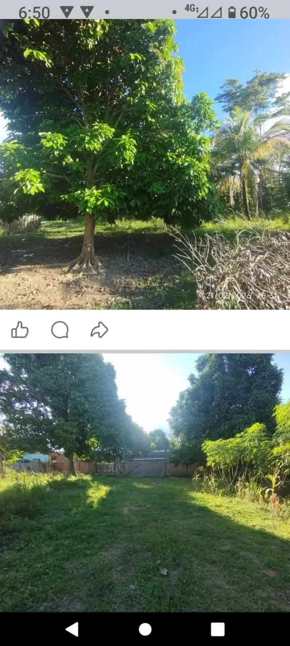 Foto - Rio Branco - Vila Acre