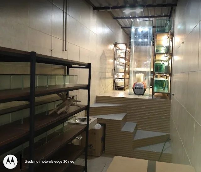 Estrutura Completa para Loja de Aquarismo e Pet Shop - Aquários, Estantes e Equipamentos