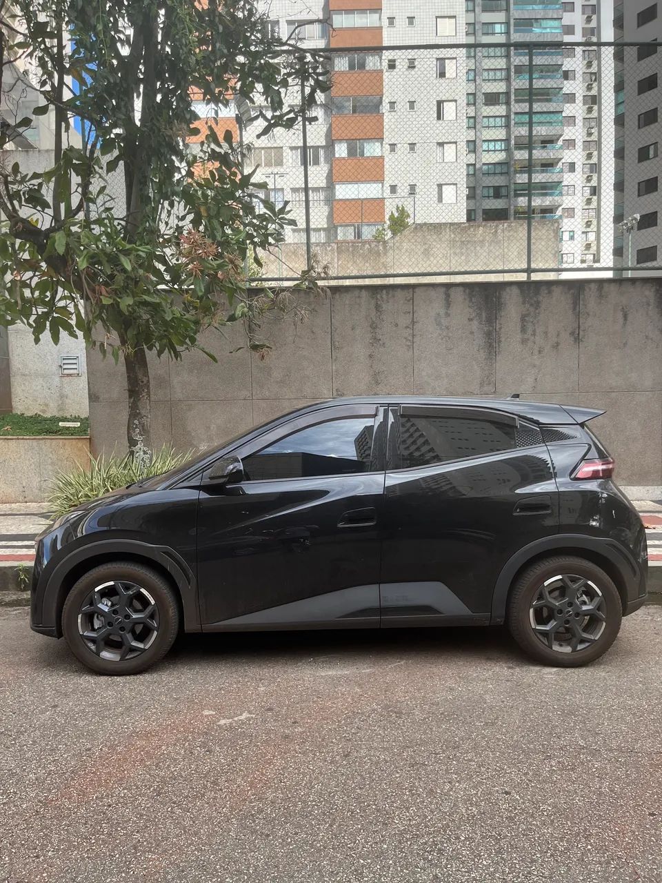 Alugo BYD Dolphin Mini 