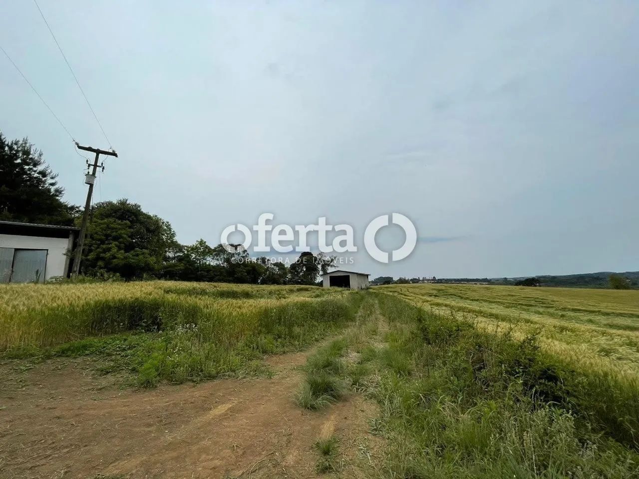 Propriedade Rural em Rio Negro/PR - Foto 2