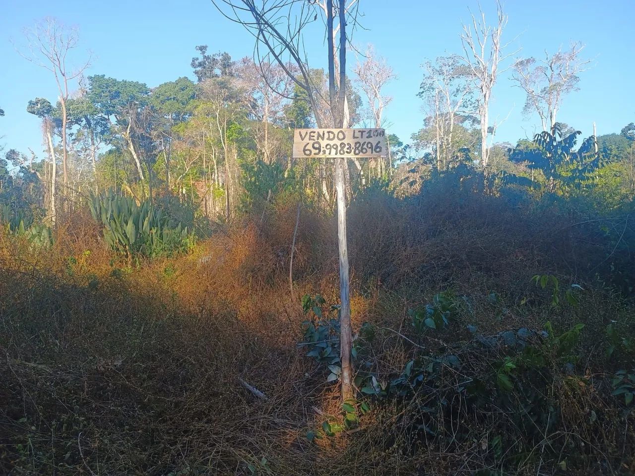 Terreno 25x100 - Foto 5