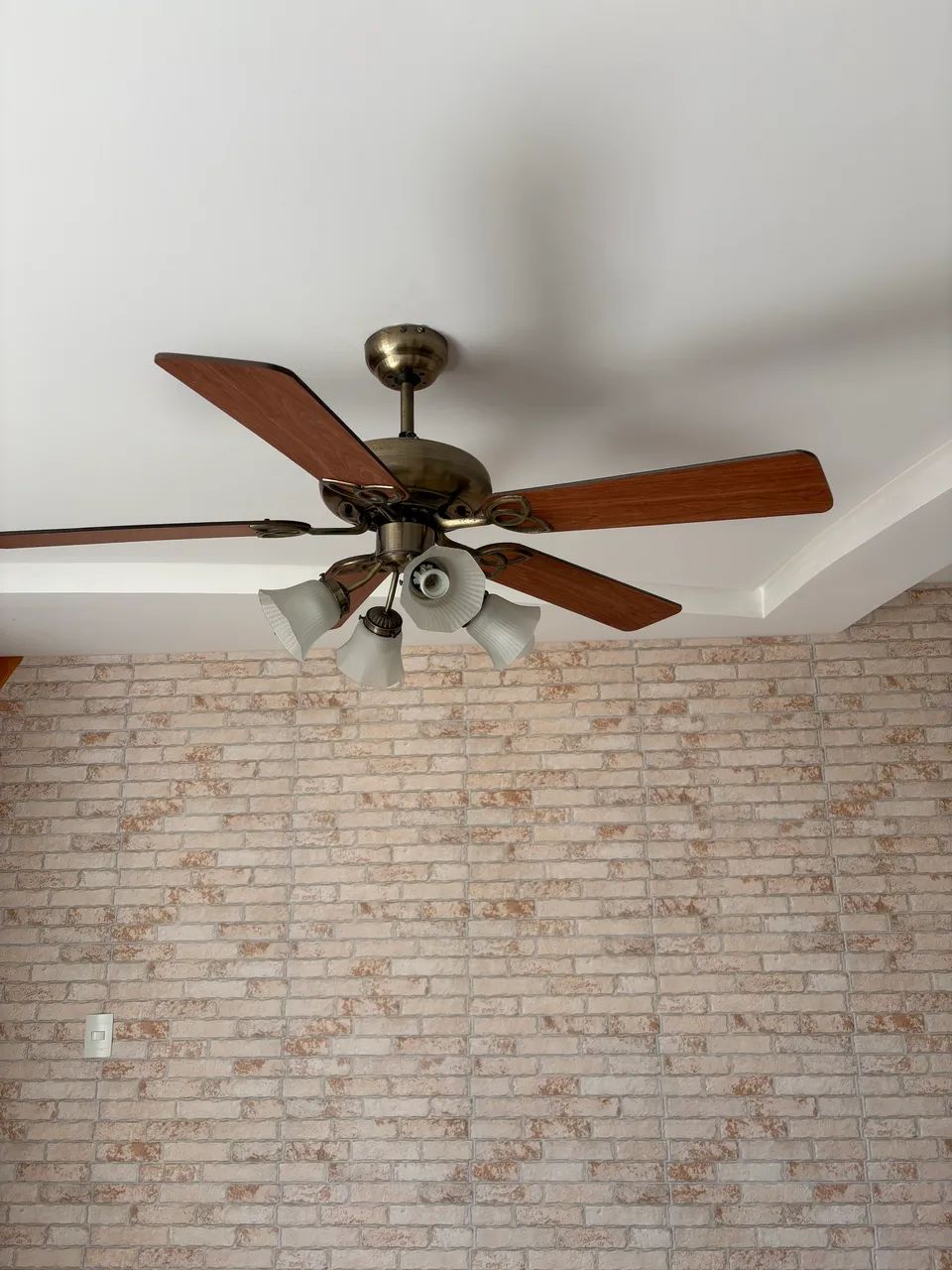 VENTILADOR DE TETO 