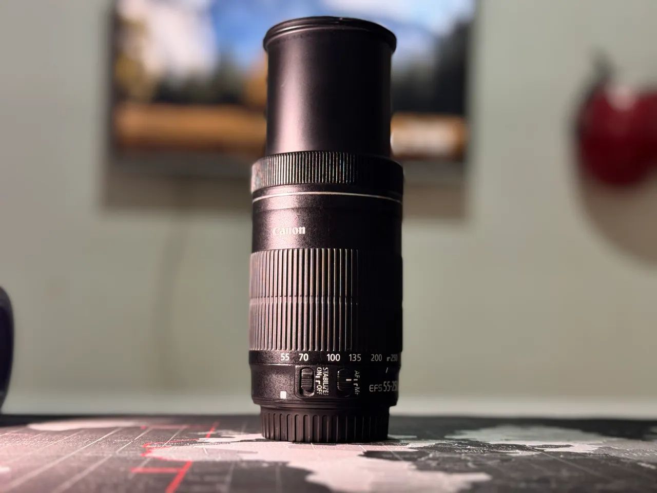 LENTE CANON 55:250mm