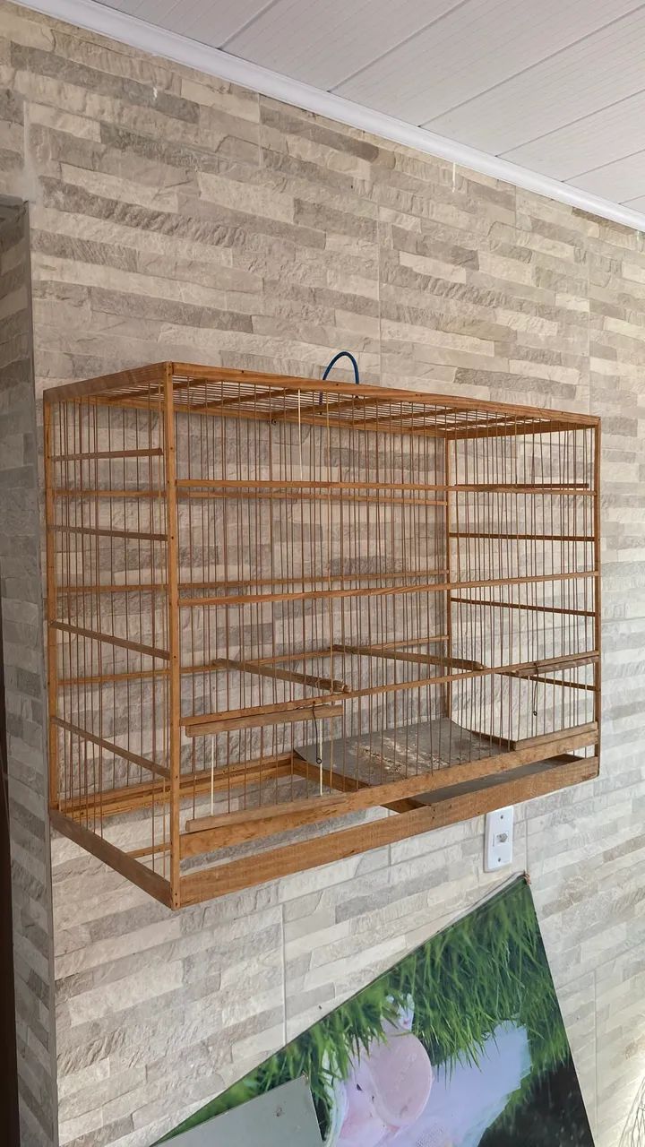 Gaiola grande - Foto 2