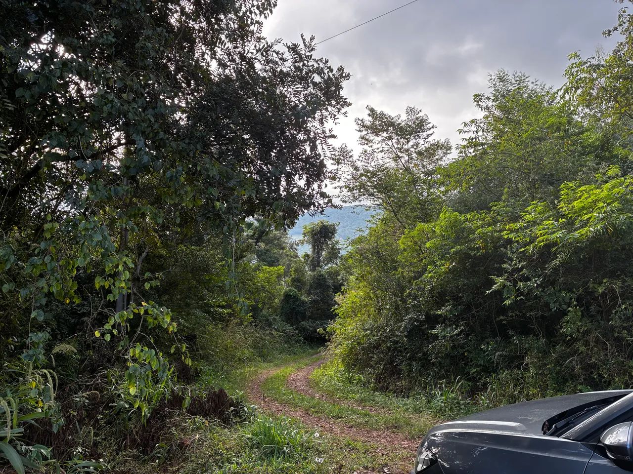 Sítio para curtir a natureza  - Foto 3