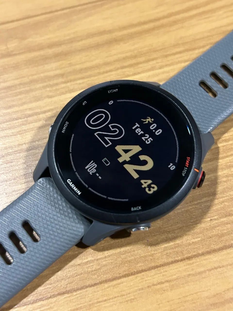 Garmin forerruner 255 - Foto 2