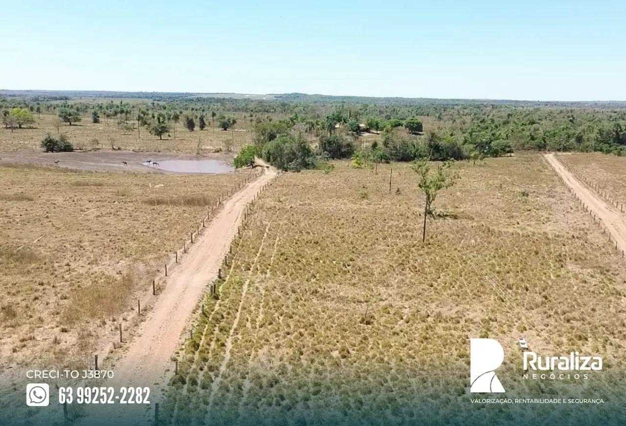 232 ALQUEIRES | 968 HA EM PASTAGENS | 80 DIVISÕES DE PASTO - Foto 5