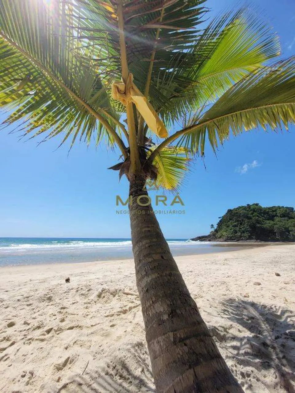 Lote á venda em Itacaré - Foto 4
