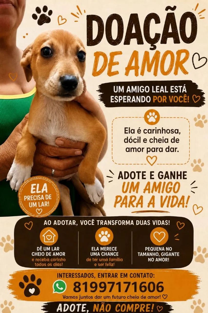 Cachorra para doação 