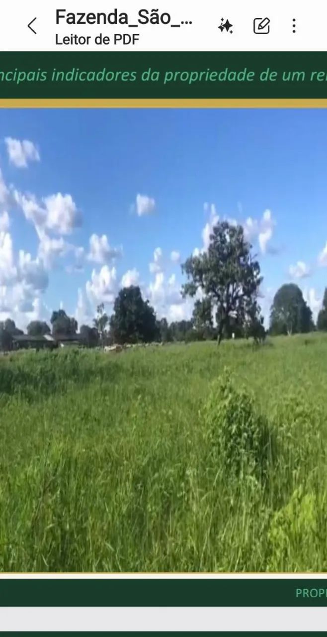 Área para Gado Noroeste de Minas.