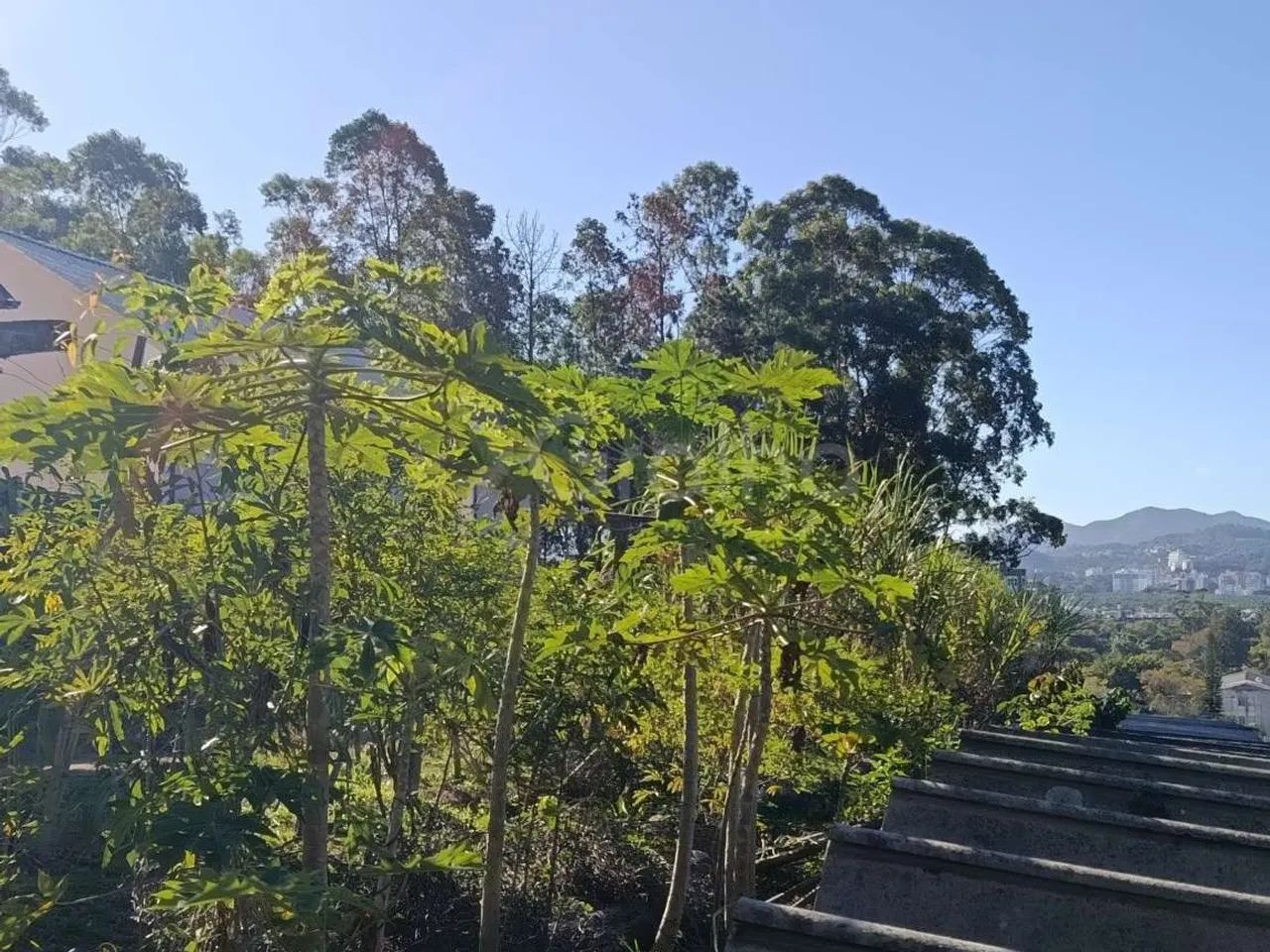 Terreno para Venda em Florianópolis, Pantanal - Foto 3