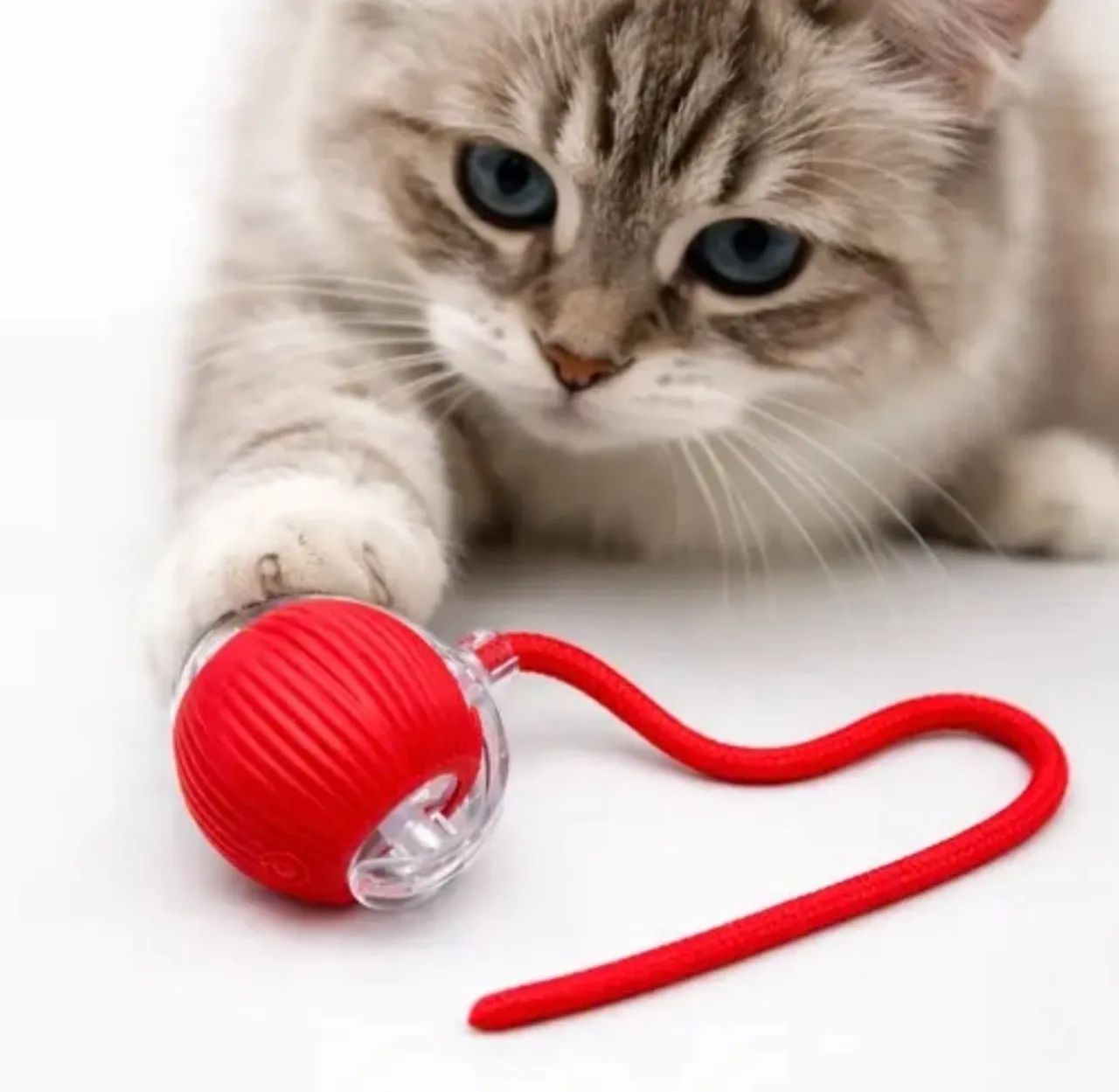 ? BOLINHA INTERATIVA AUTOMÁTICA PARA CÃES E GATOS ?  - Foto 3