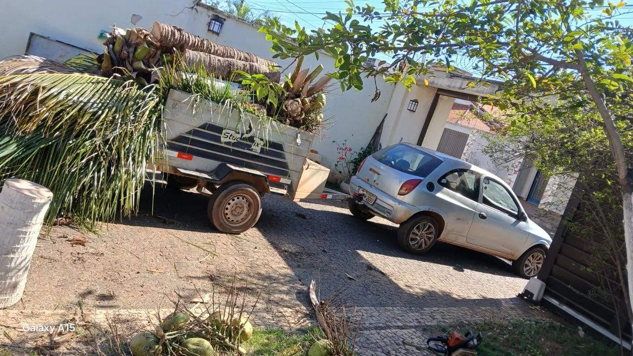 Podar de árvores e limpeza em geral Palmas é região  