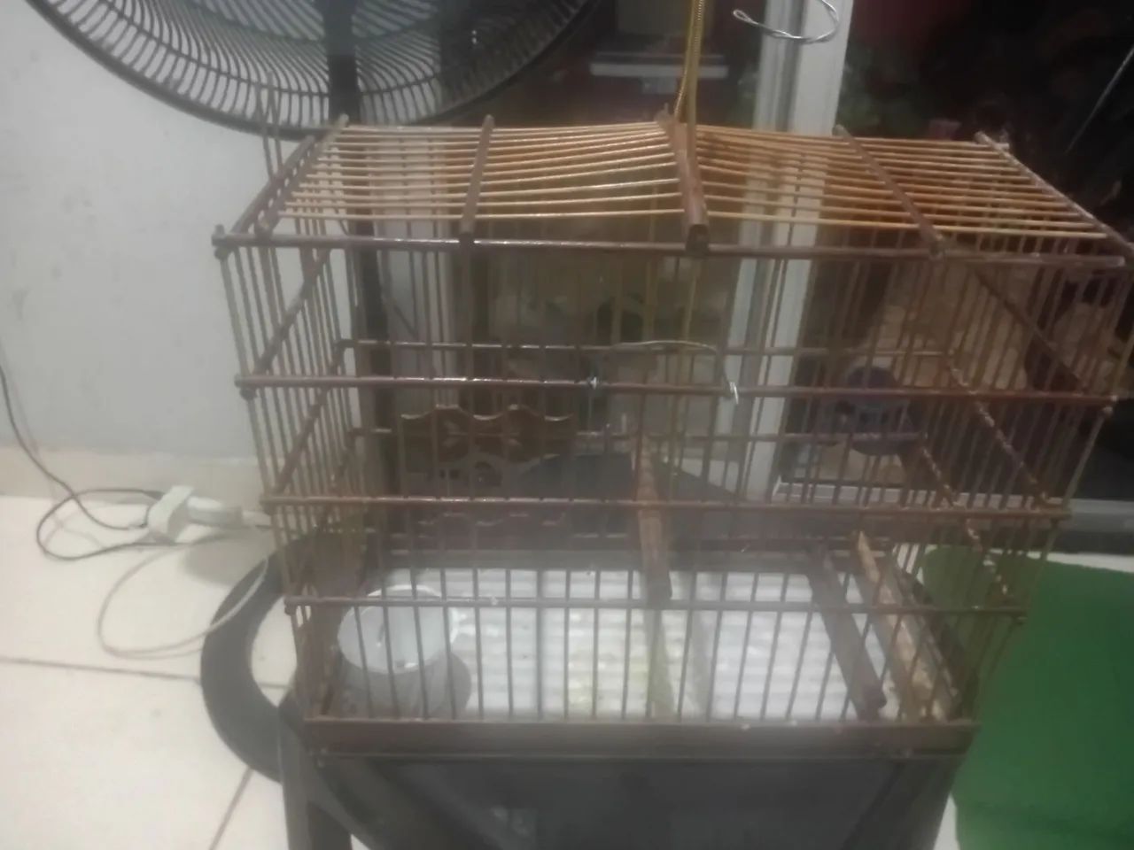 Gaiola boleada boa  - Foto 3