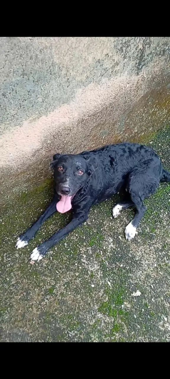 Doação  - Foto 2