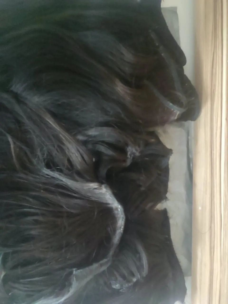 CABELO HUMANA - Foto 3