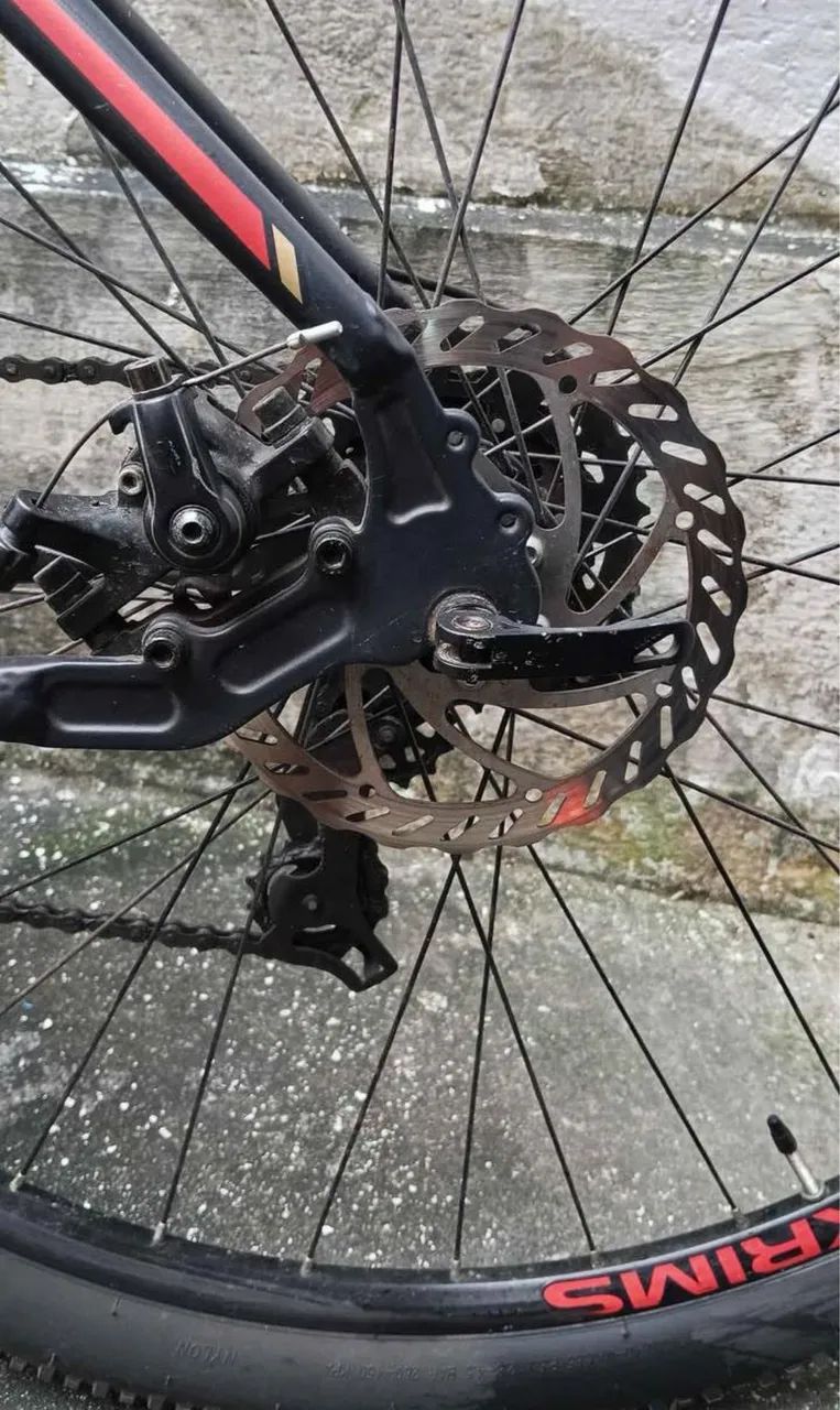 BIKE ARO 29 OGGI - Foto 2