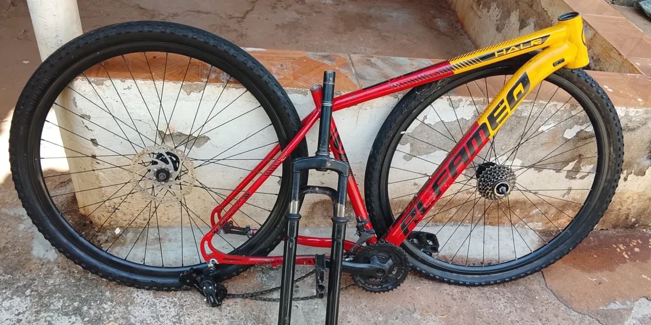 Bicicleta Alfameq