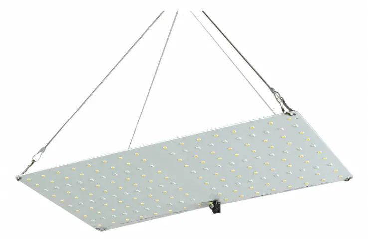 Quantum Board Led 65w Lm301h + Automação