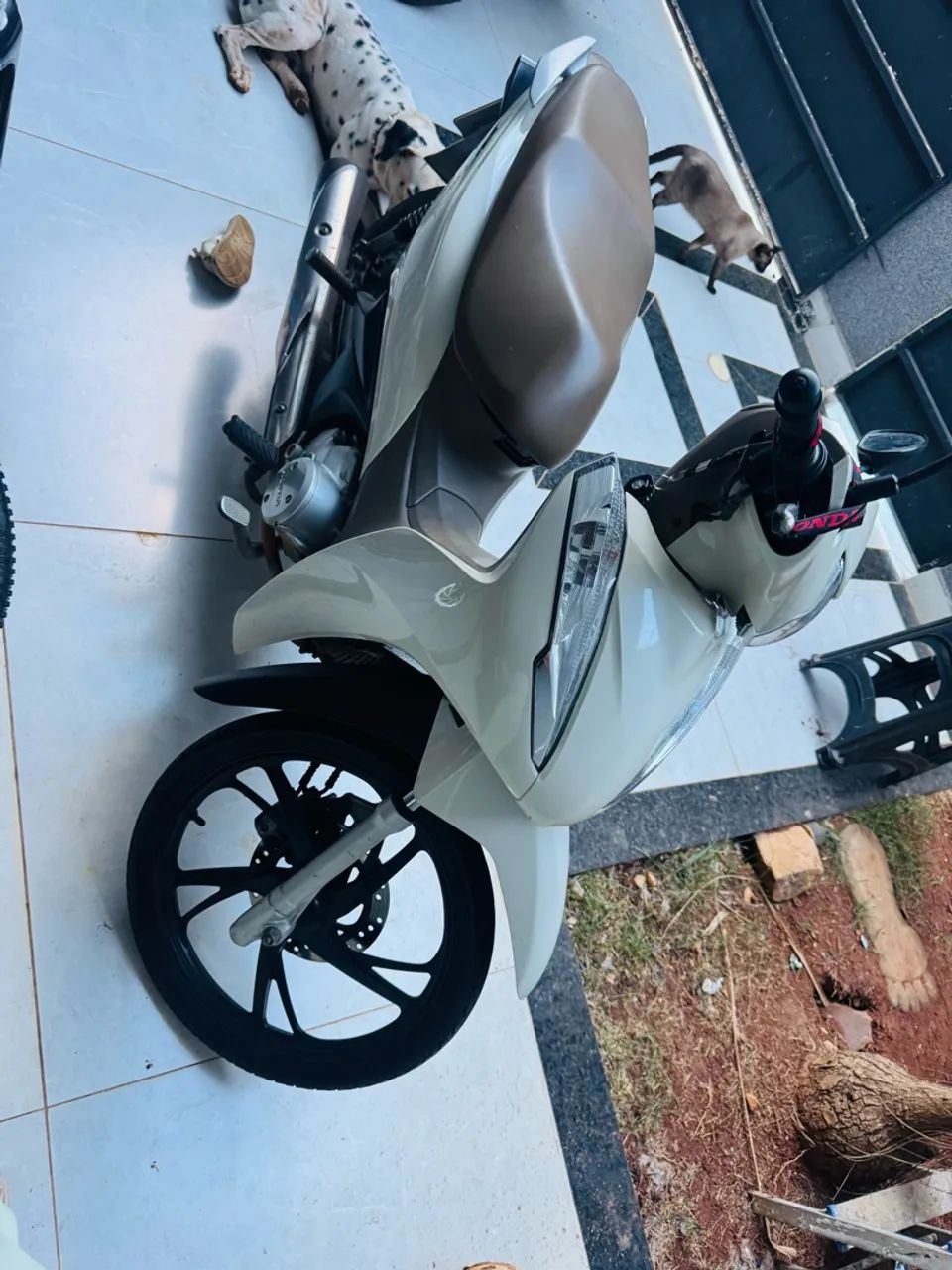 Biz 125 Flex - Foto 2
