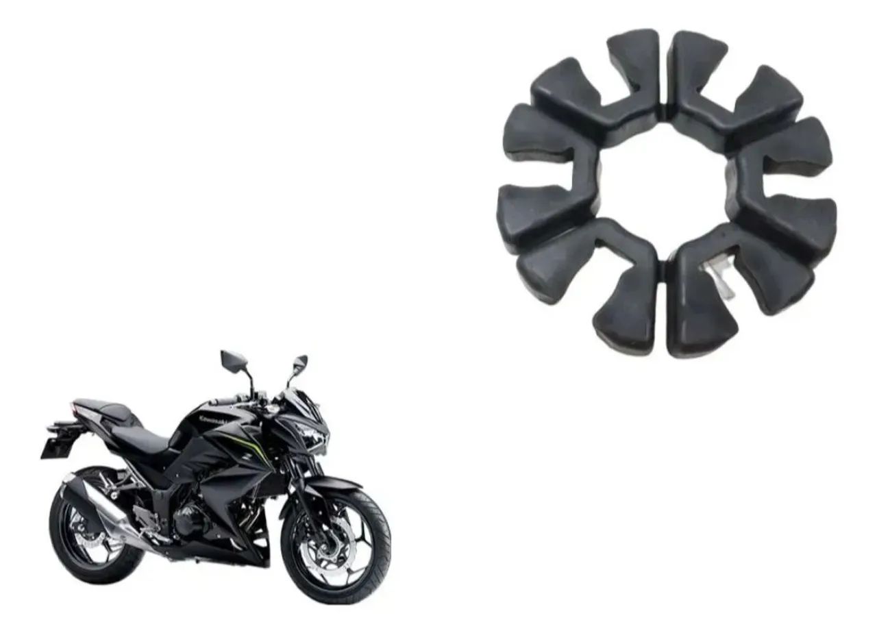 なお　555535 Coxim Z300. Ninja 300 - Peças para motos - Capitais, Timbó