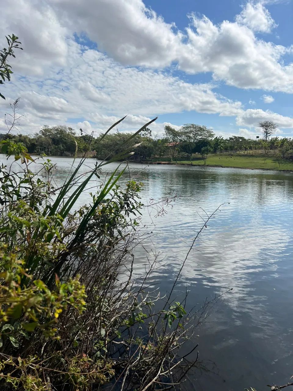 Foto - Goiânia - Setor Oeste