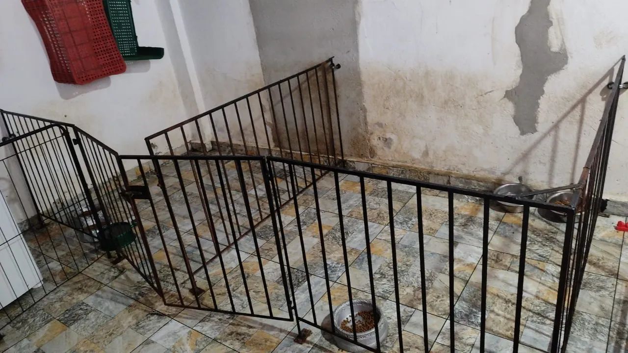 Canil com 2 baias - aço soldado - Foto 2