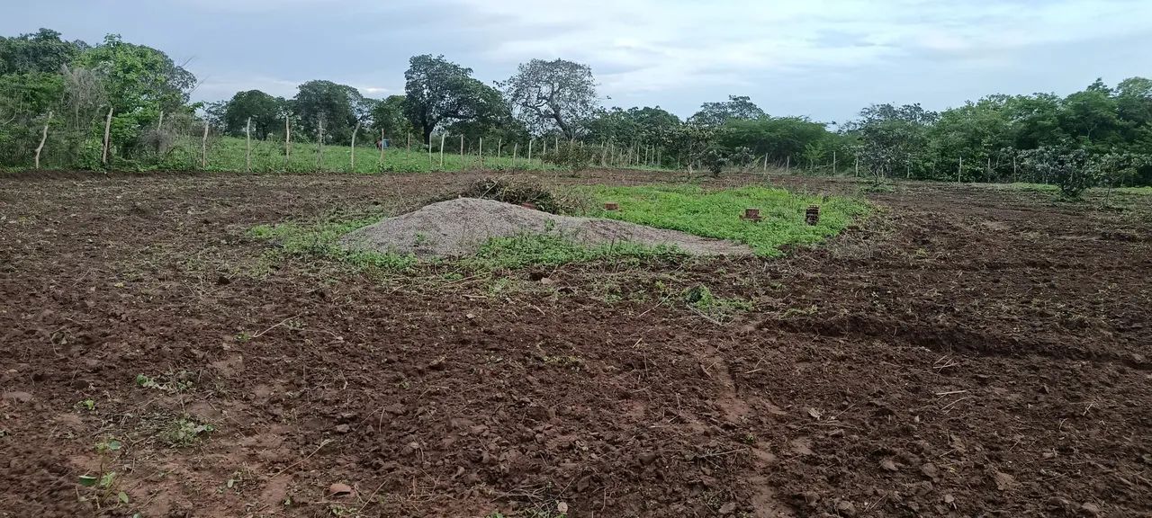 Terreno  - Foto 2
