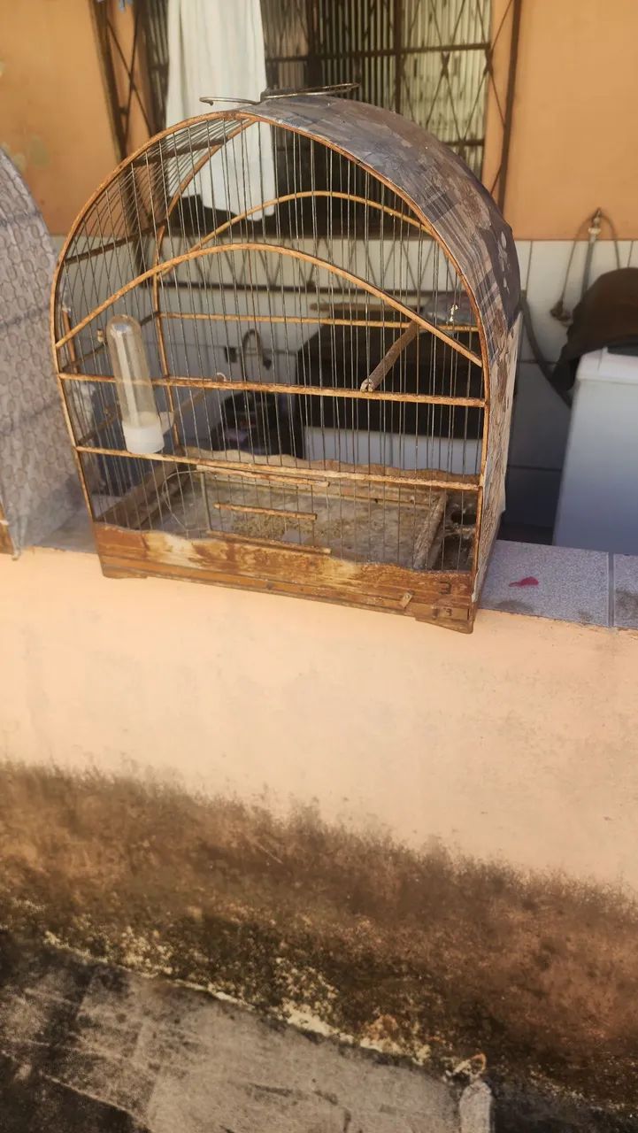 Gaiolas em bom estado  - Foto 4