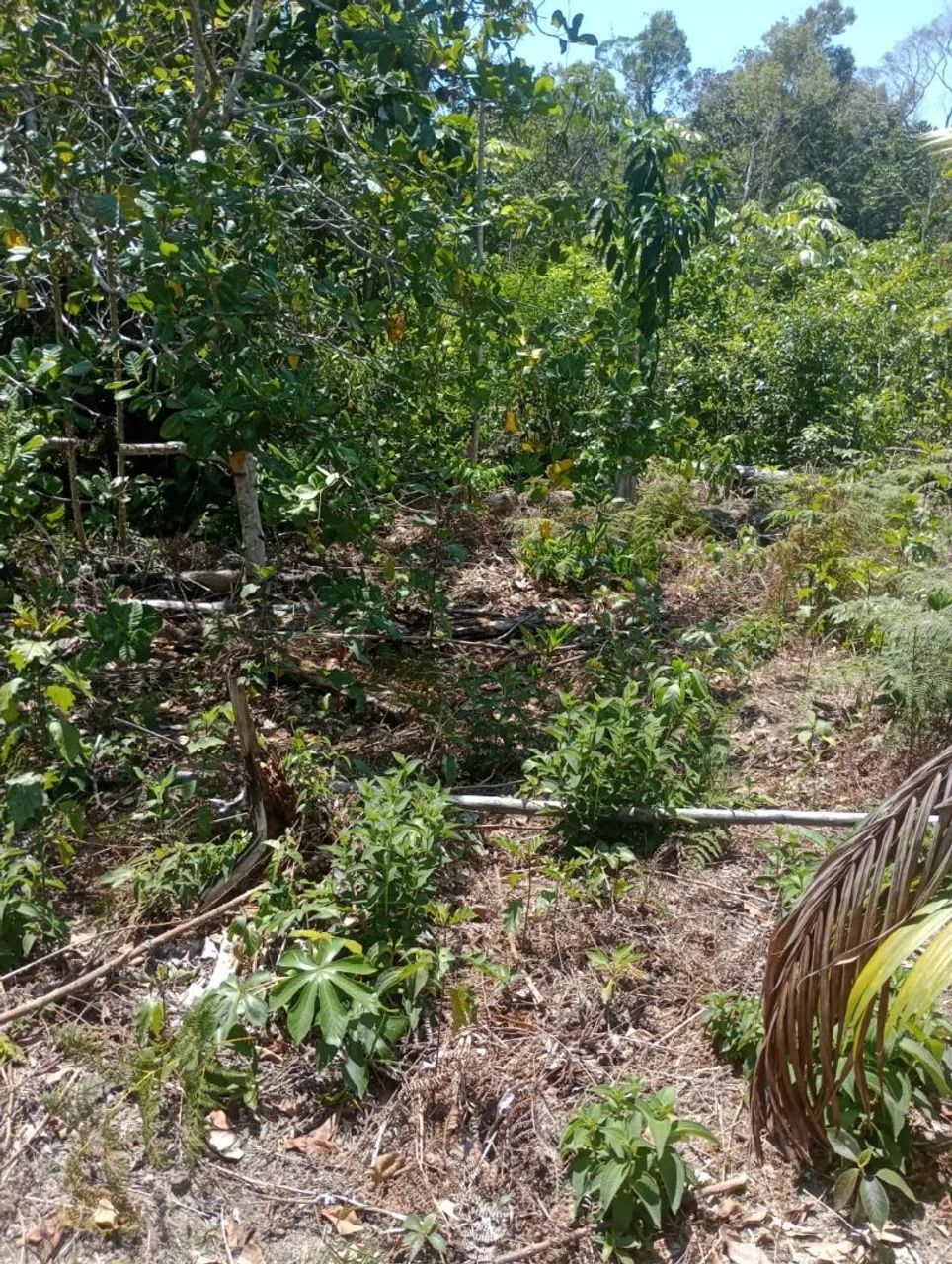VENDE-SE TERRENO EM PRESIDENTE FIGUEIREDO - AM  - Foto 2