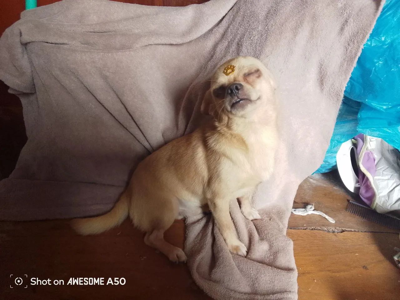 Vendo