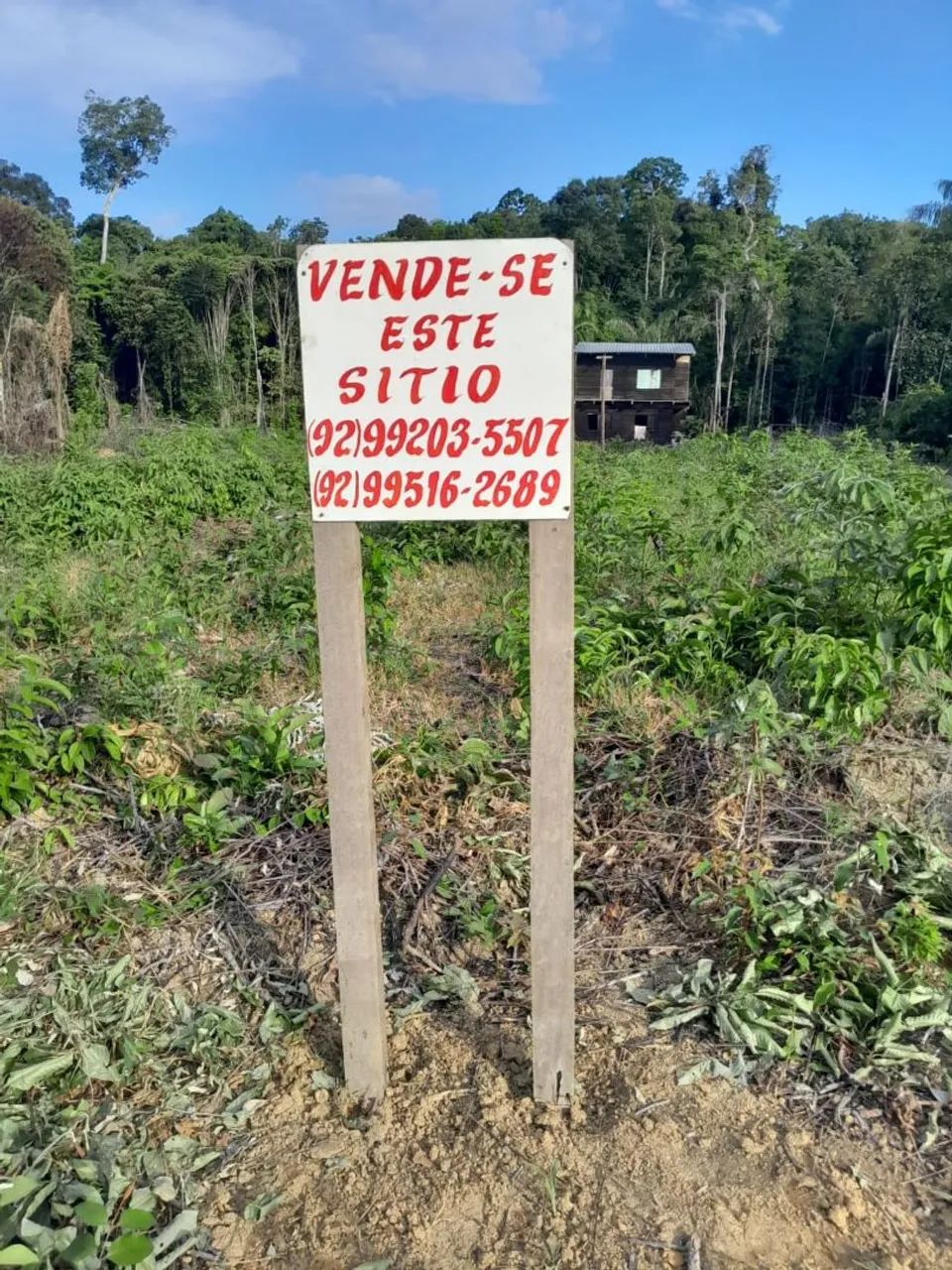 VENDE-SE SÍTIO NO RAMAL DO JERICÓ